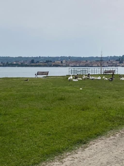 La Casa Nel Borgo Lägenhet Angera Exteriör bild